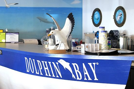 Dolphin Bay